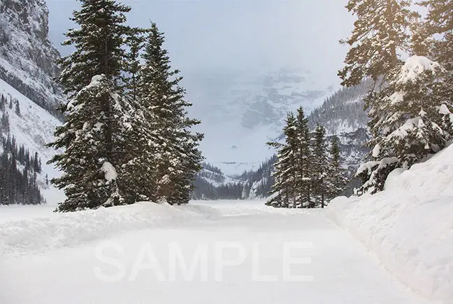 Holidays 6